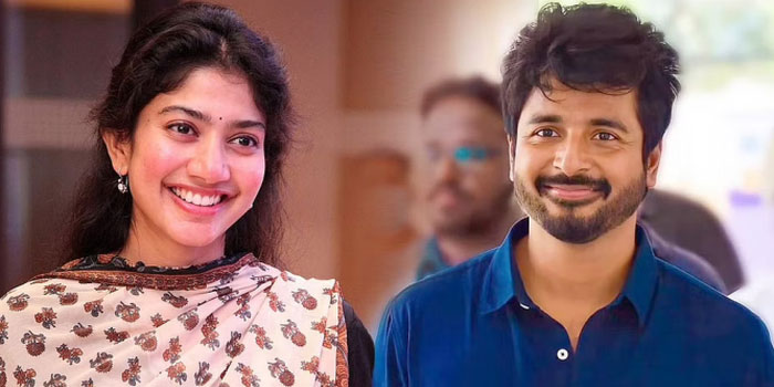 Siva-saipallavi