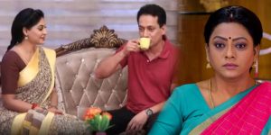 gopi-radhika