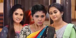 pandian-stores-vijay-tv