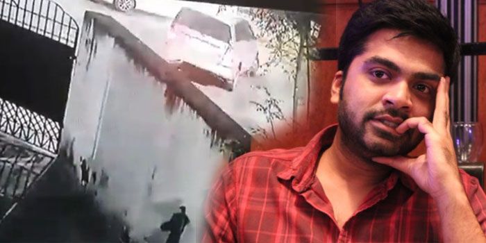 simbu