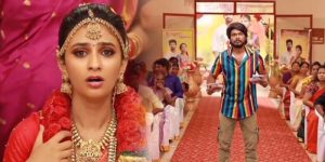 raja-rani2-serial-parvathi-marriage