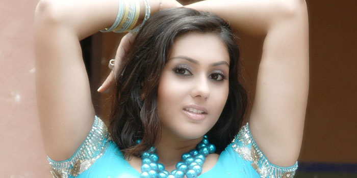 namitha-actress