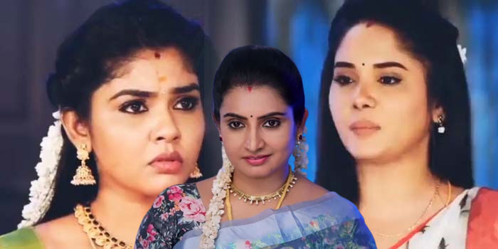 pandian-stores-dhanam-meena