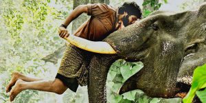 kumki