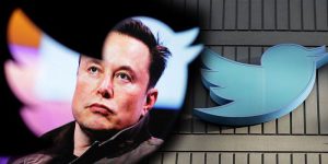 elon-musk-twitter-ceo