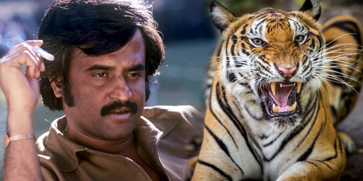 rajini-fight-with-tiger