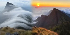 kolukkumalai-theni